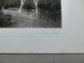 【百元包邮】《野外，牧场》（IN THE OPEN）1888年 照相版画 纸张尺寸约41.3×28.8厘米 （货号T001597）