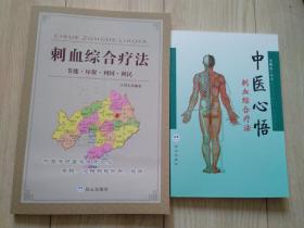 中医心悟 刺血综合疗法 刺血综合疗法 节能 环保 利国 利民 两册合售 库存书 全新 定95品 包邮挂刷 内含方法 药方 病例等 仅1000册