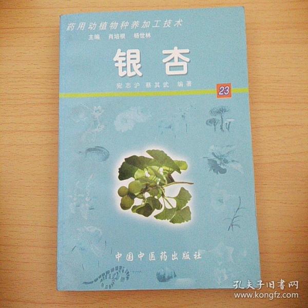 银杏——药用动植物种养加工技术（含CD-ROM一张）