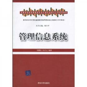 高等学校财经管理类专业计算机基础与应用规划教材：管理信息系统