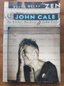 What's Welsh for Zen: Autobiography of John Cale 记录美国摇滚乐队The Velvet Underground创始人John Cale从60年之后的经历