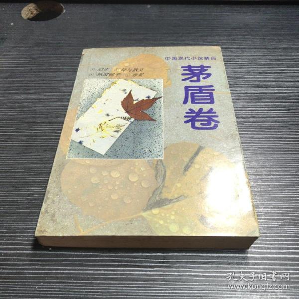 中国现代小说精品.茅盾卷