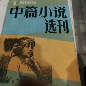 中篇小说选刊