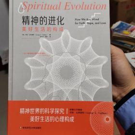 精神的进化: 美好生活的构成