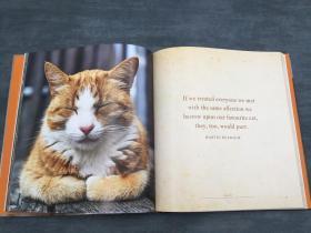 Meow: A Book of Happiness for Cat Lovers  喵喵：爱猫人士的幸福之书