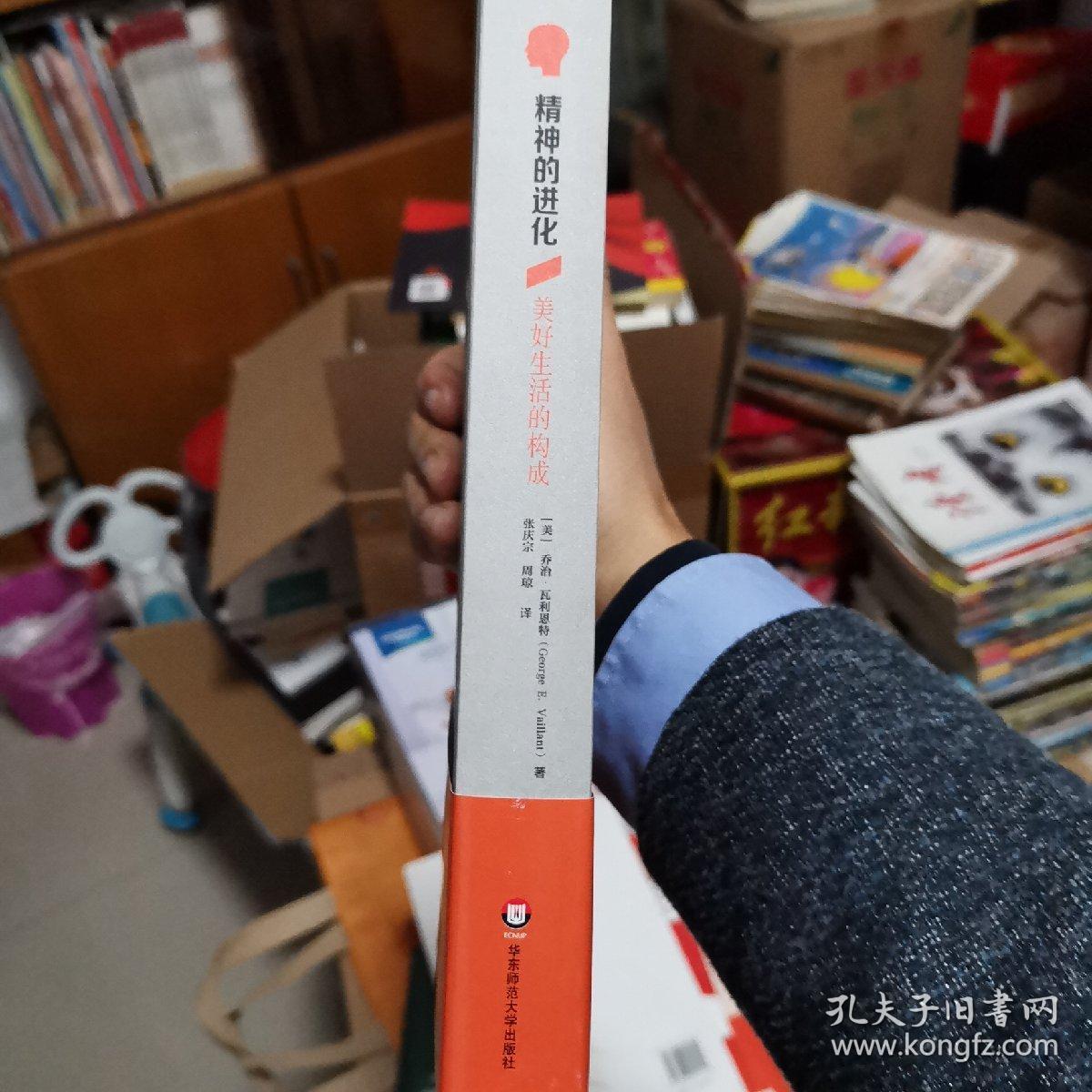 精神的进化： 美好生活的构成