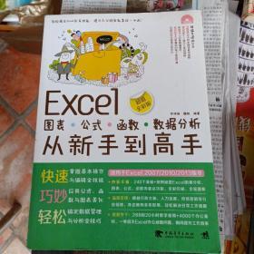 Excel图表·公式·函数·数据分析从新手到高手(库存书)