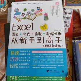 Excel图表·公式·函数·数据分析从新手到高手(畅销升级版)