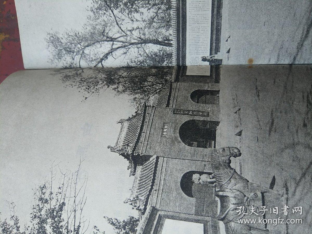 点击查看原图 洛阳白马寺