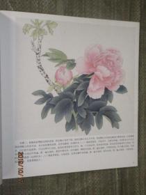 中国画技法丛书 花卉翎毛画法二池云清花鸟画技法