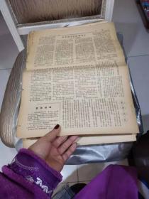 红旗报1967年1月27