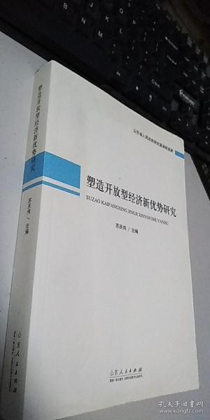 塑造开放型经济新优势研究