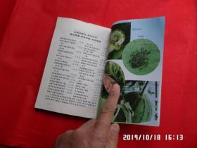 西瓜甜瓜南瓜病虫害防止