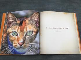 Meow: A Book of Happiness for Cat Lovers  喵喵：爱猫人士的幸福之书