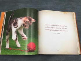 Meow: A Book of Happiness for Cat Lovers  喵喵：爱猫人士的幸福之书