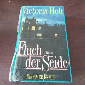 Fluch der Seide (German Edition)（德文原版）