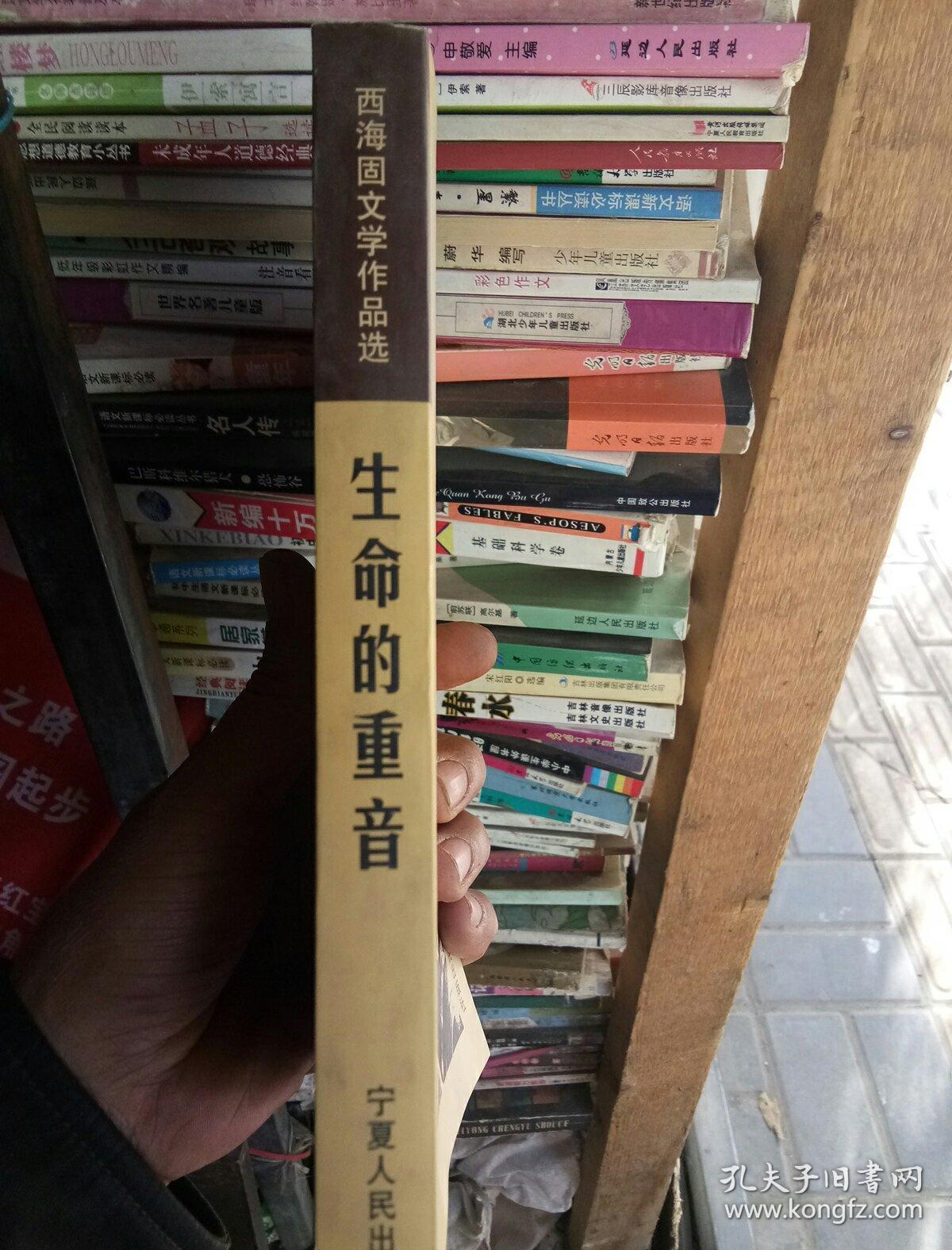 生命的重音:西海固文学作品选