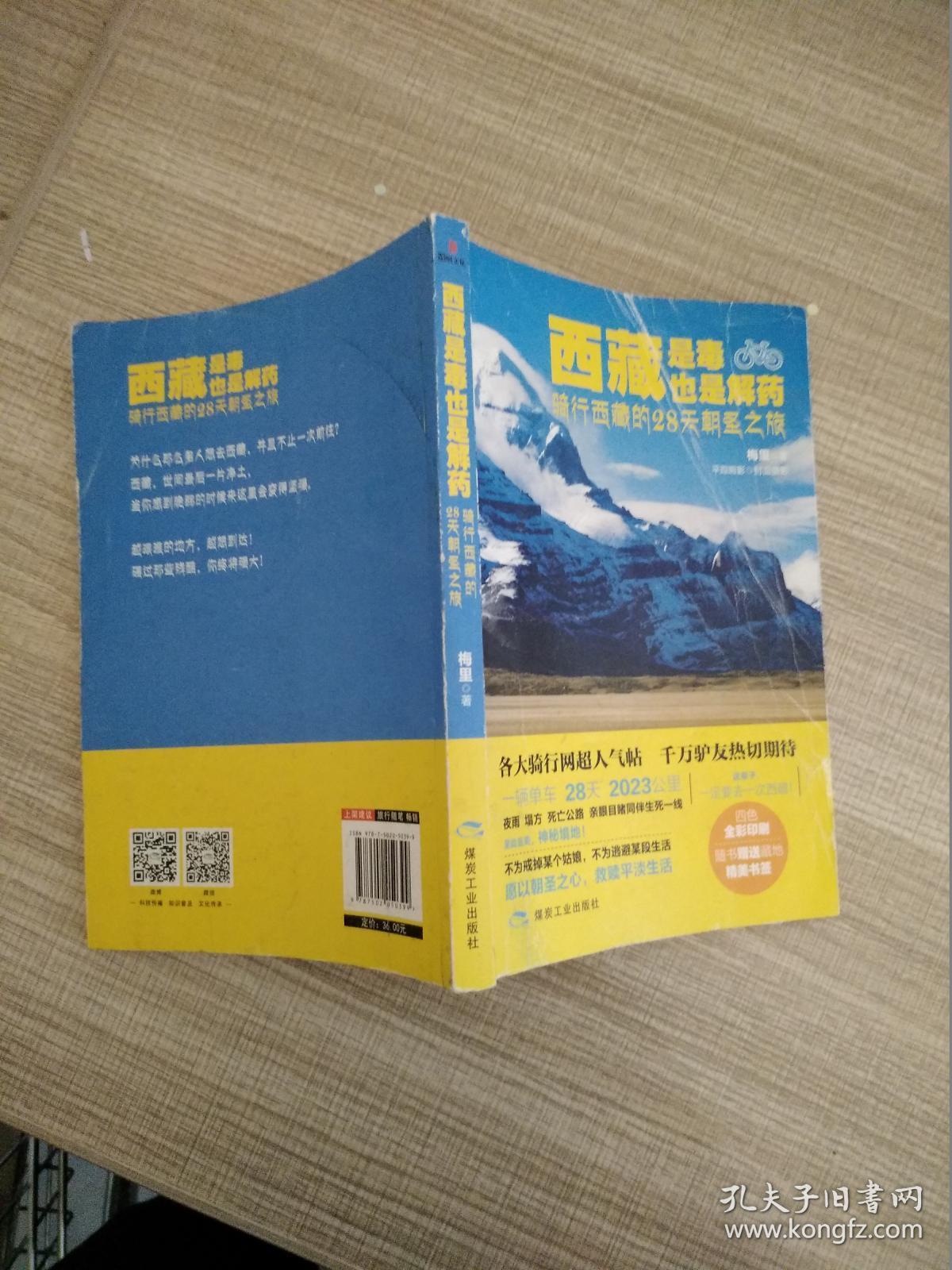 西藏是毒，也是解药：骑行西藏的28天朝圣之旅