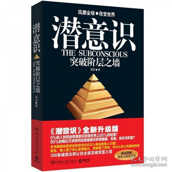 正版二手 潜意识：突破阶层之墙 高原  著 湖南文艺出版社 9787540456153