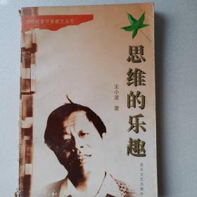 思维的乐趣：当代作家学者散文丛书