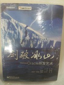 剑破冰山：Oracle开发艺术