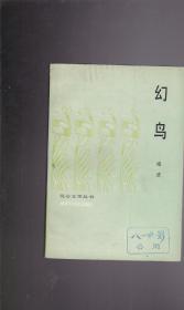 幻鸟（昆仑文学丛书）