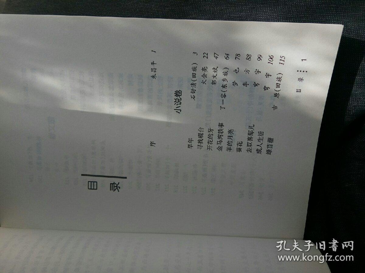 生命的重音:西海固文学作品选