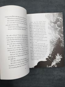 A Monster Calls: Illustrated Paperback  怪兽召唤：插图平装本