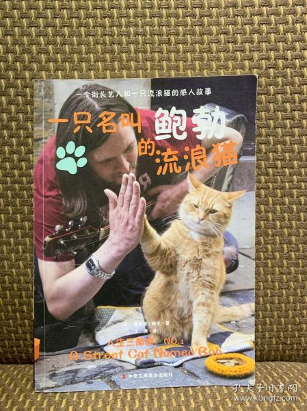 一只名叫鲍勃的流浪猫