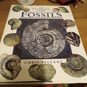 Fossils     c