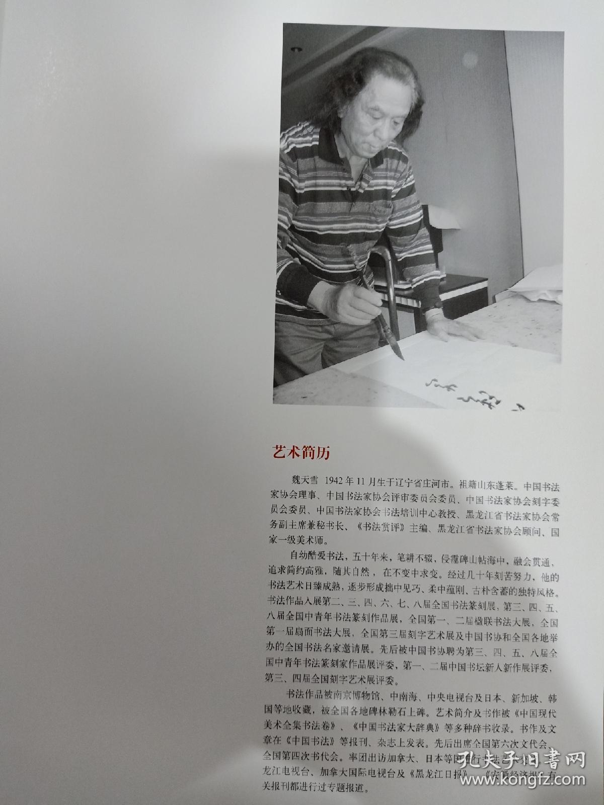 魏天雪，男，中国书法家协会理事、中国书法家协会评审委员会委员、中国书法家协会刻字委员会委员、中国书法家协会书法培训中心教授、黑龙江书法家协会常务副主席兼秘书长、《书法赏评》主编、黑龙江书法家协会顾问、国家一级美术师。