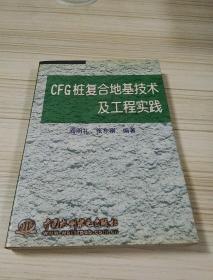 CFG桩复合地基技术及工程实践（特价/封底打有圆孔）