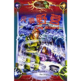 小海龟丛书·红激光束:风雪野营