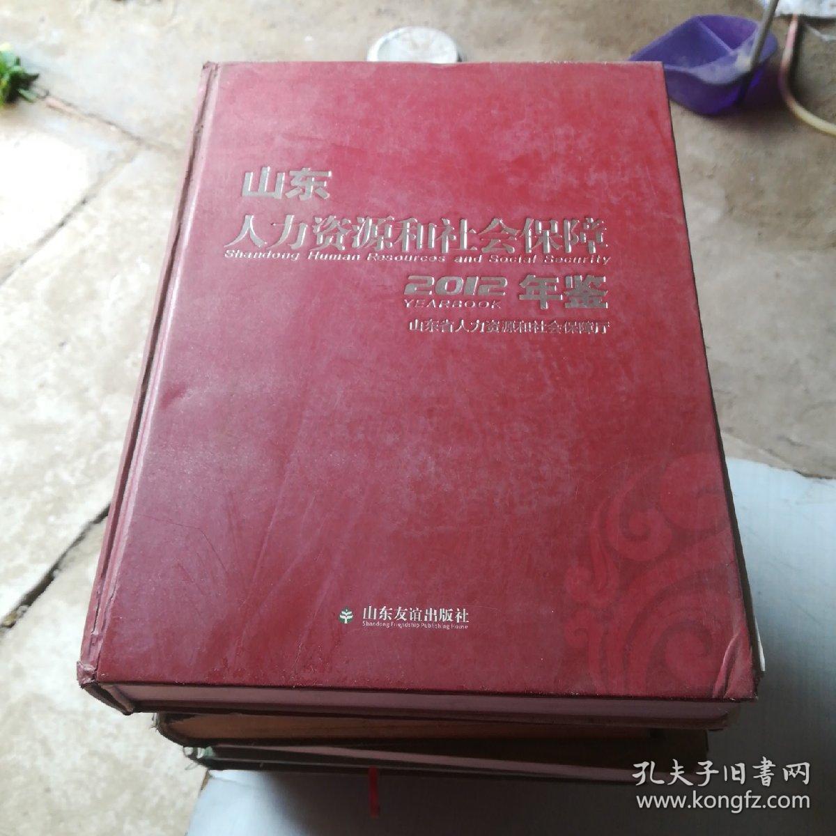 点击查看原图 山东人力资源和社会保障年鉴2012