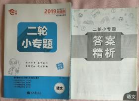 二轮小专题:语文(2019高考总复习新课标)