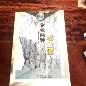 企业两种现金流