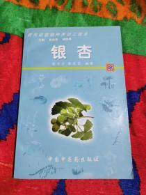 银杏——药用动植物种养加工技术（含CD-ROM一张）