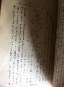 明治41年 花物语 岛崎藤村作序 中村不折插画 清朝同期植物学趣味书籍 植物拟人化科普书 装订精美内容丰富