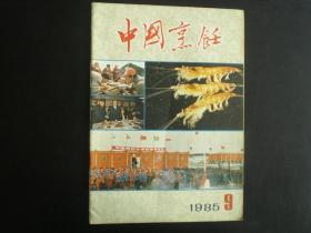 中国烹饪1985.9  中国烹饪杂志社  九品