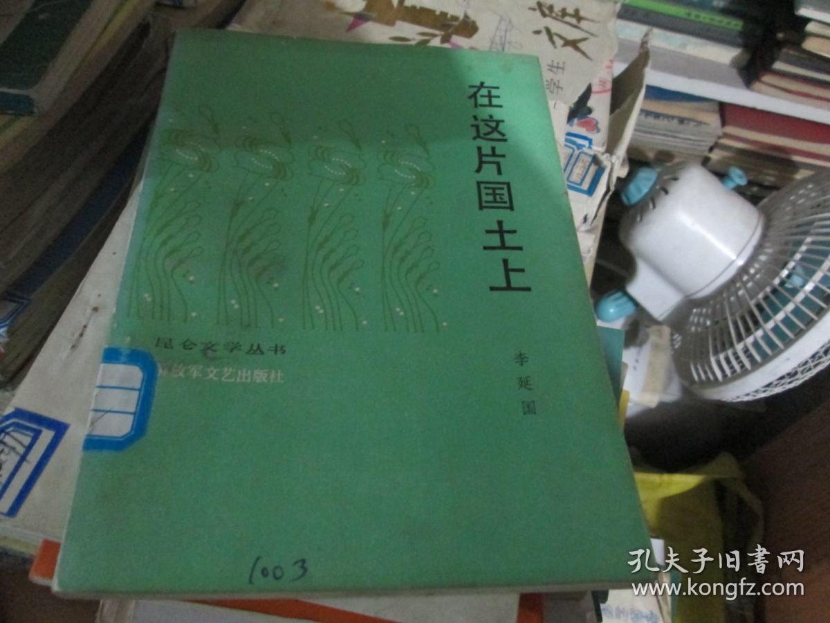 昆仑文学丛书：在这片国土上