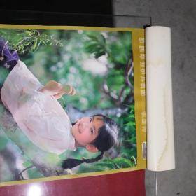 1981年（美女）挂历【共7张，38X51，封面有水印】