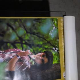 1981年（美女）挂历【共7张，38X51，封面有水印】