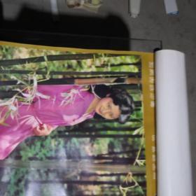 1981年（美女）挂历【共7张，38X51，封面有水印】