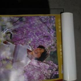 1981年（美女）挂历【共7张，38X51，封面有水印】