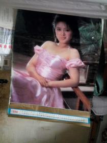 丽人华居 塑纸挂历 1994年12张全