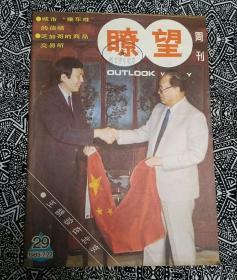 《瞭望》（1985年第29期）