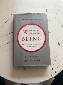 Well-Being: The Five Essential Elements  精装，毛边本