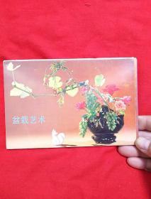 明信片，盆栽艺术（一）十张一套，以图片为准
