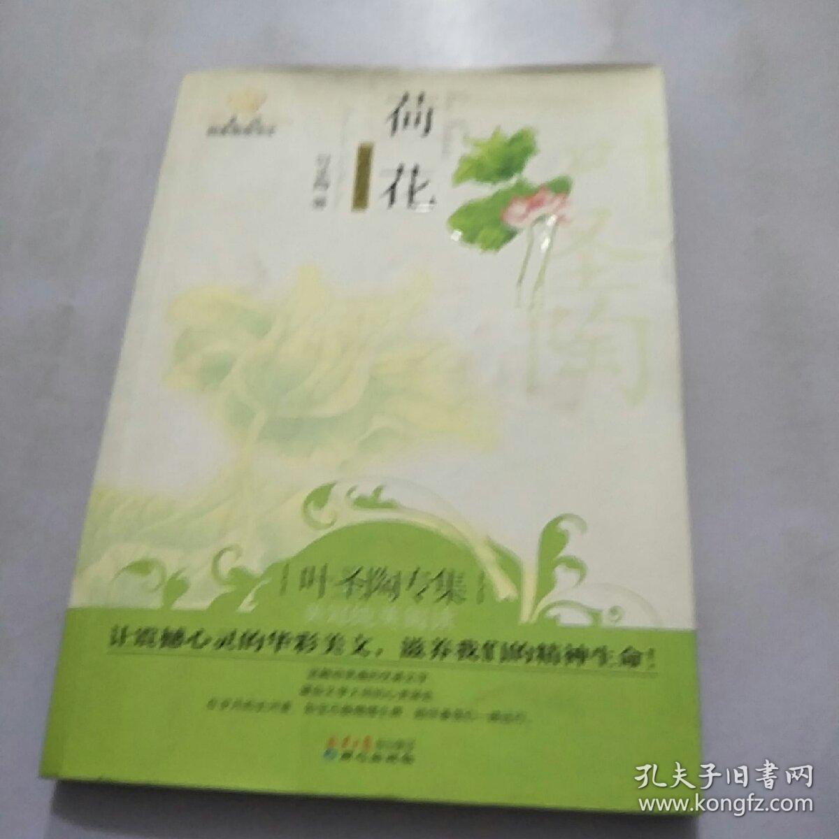 美冠纯美阅读书系：荷花（叶圣陶专集 经典彩绘本）