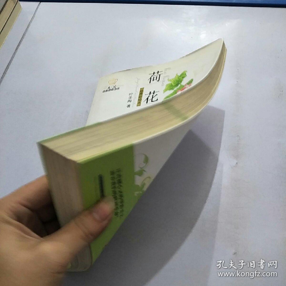 美冠纯美阅读书系：荷花（叶圣陶专集 经典彩绘本）